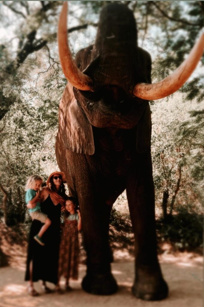 Elephant Africa with family