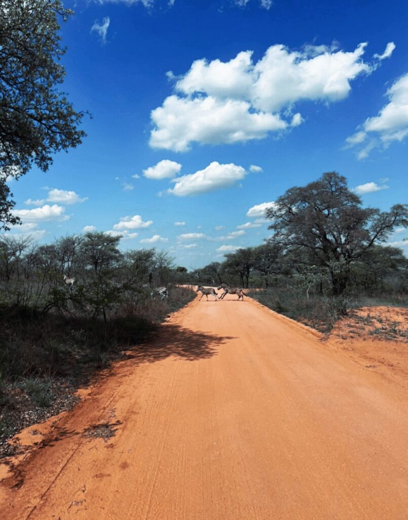 African Road