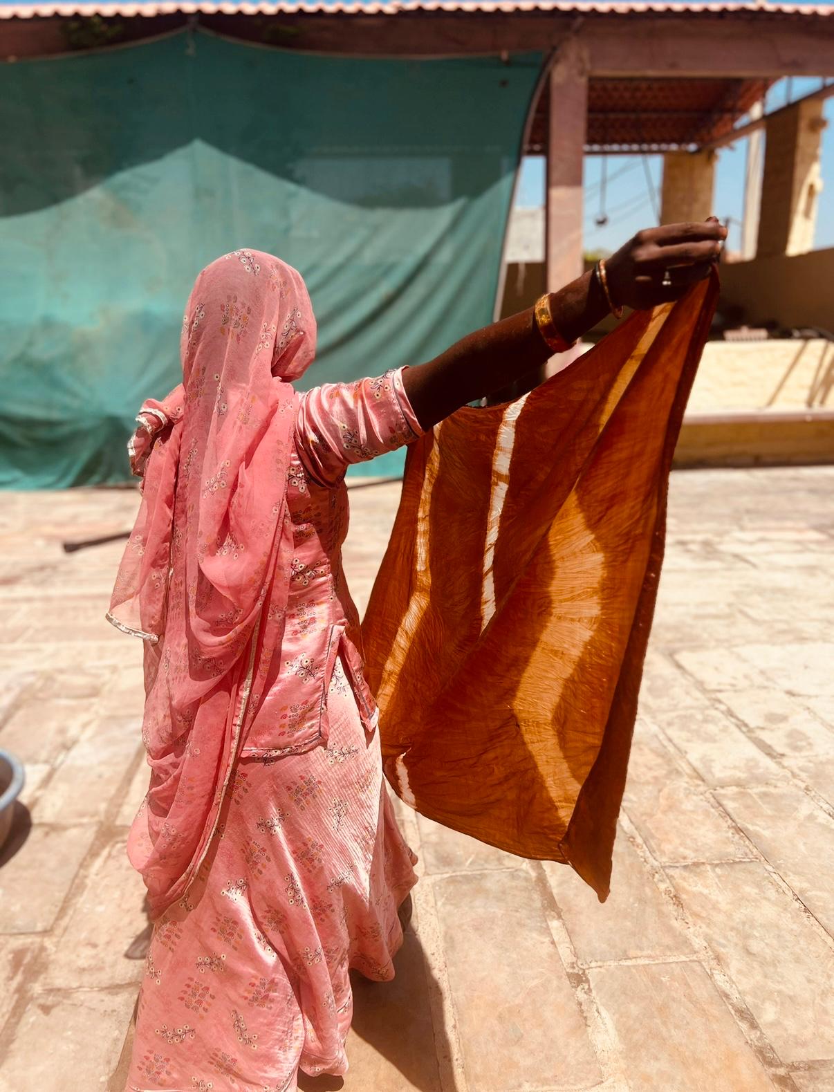 saheli woman in sari with blockprinted silk scarf