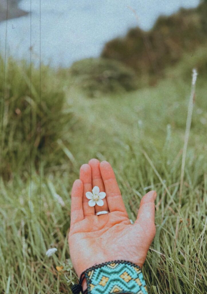 tiny flower in Beshlie's hand