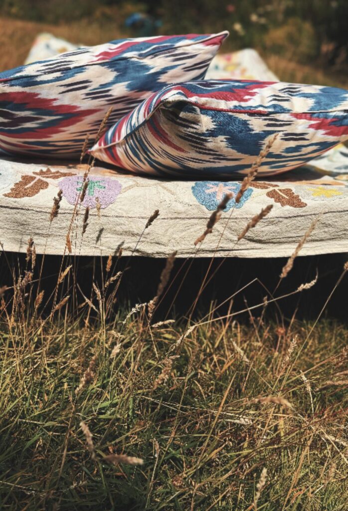 Two plump silk ikat cushions featuring a bold, blurred geometric pattern in deep blue, wine red, and cream rest on top of a hand-embroidered beige textile. The setting is an outdoor grassy field, viewed from a low angle looking up through tall, sunlit stalks of dry wild grass.